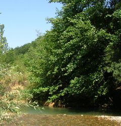 Le gouffre