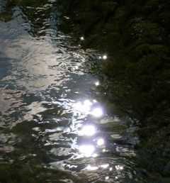 L'eau devient sombre