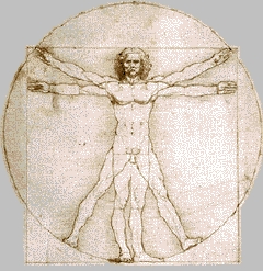 Vinci, l'homme de Vitruve