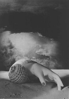 Dora Maar, Coquillage