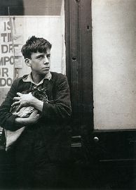 Dora Maar, Gamin au chat