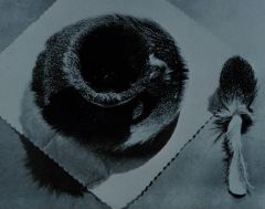 Dora Maar, Le couvert en fourrure
