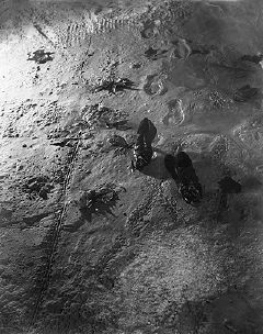 Dora Maar, Empreintes de pieds sur le sable