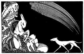 Animaux &eacute;tranges