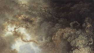 Frondaisons, ciel
