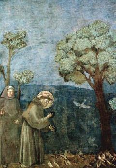 Saint Fran&ccedil;ois, arbres, oiseaux