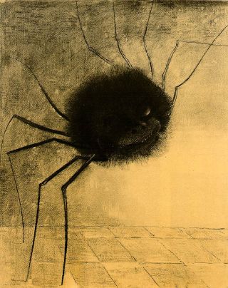 araign&eacute;e au sourire hideux