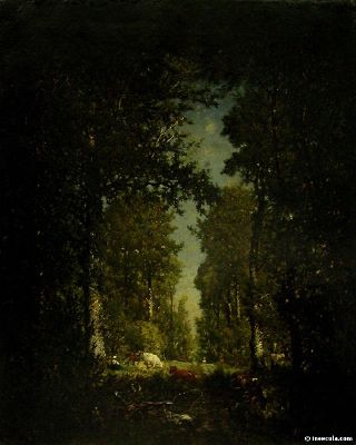 Clairi&egrave;re dans une for&ecirc;t sombre, berg&egrave;re, vache