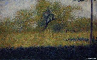 Arbre, verdure indistincte