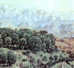 Collines, arbres, fond de montagnes