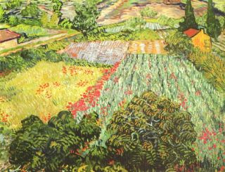 Paysage de jardins potagers et de vergers, coquelicots