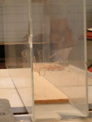 Structure de verre en forme d'aquarium